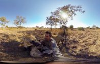 GoPro VR: Hyenas Wrestling With Kevin Richardson