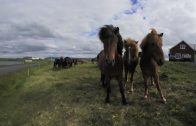 Iceland: A Virtual Journey in 360