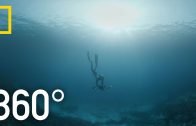 Indonesia’s Coral Reefs – 360 | Into Water