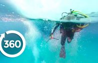 MythBusters: Shark Shipwreck (360 Video)