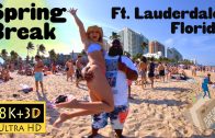 8k 3D Spring Break – Las Olas Beach, Ft. Lauderdale, Florida: Booze, Beaches, and Clubs (PREVIEW)