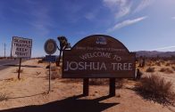 Joshua Tree VR 180 3D Experience