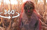 360 Scarecrow | VR 4K Horror Experience