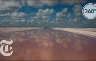 The Salty Pink Pools Of The Yucatán | The Daily 360 | The New York Times