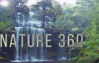 Virtual Nature 360° – 5K Nature Meditation for Daydream, Oculus, Gear VR
